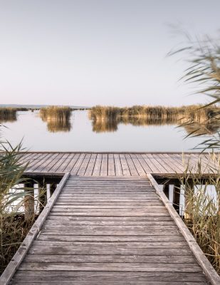 Mindful Focus, Fotografie, Achtsamkeit, Slow Photography, achtsam, Stressbewältigung, Stressreduktion, Kärnten, Klagenfurt, Wörthersee, Roman Huditsch, Roman Huditsch Fotografie, Fotoworkshops, Workshop, Fotografieren lernen, Work-Life-Balance, Entschleunigung, Fototherapie, fotografische Therapie, Neusiedler See, Seewinkel, Burgenland, Entspannung